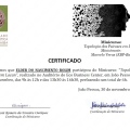 Ampliar imagem: certificate 5