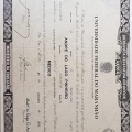 Ampliar imagem: certificate 1
