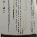 Ampliar imagem: certificate 4