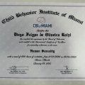 Ampliar imagem: certificate 9
