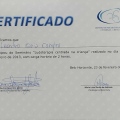 Ampliar imagem: certificate 8