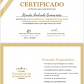 Ampliar imagem: certificate 2