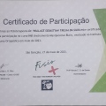 Ampliar imagem: certificate 9