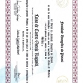 Ampliar imagem: certificate 2