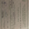 Ampliar imagem: certificate 4