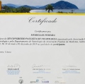 Ampliar imagem: certificate 11