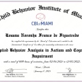 Ampliar imagem: certificate 1