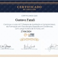 Ampliar imagem: certificate 10