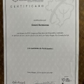 Ampliar imagem: certificate 9