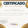 Ampliar imagem: certificate 4