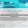 Ampliar imagem: certificate 11