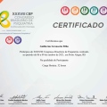 Ampliar imagem: certificate 10