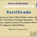 Ampliar imagem: certificate 4