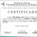 Ampliar imagem: certificate 2