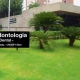 Quintella Odontologia