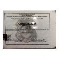 Ampliar imagem: certificate 2
