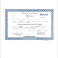 Ampliar imagem: certificate 1