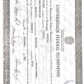 Ampliar imagem: certificate 1