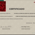 Ampliar imagem: certificate 7