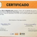 Ampliar imagem: certificate 4