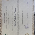 Ampliar imagem: certificate 2