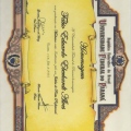 Ampliar imagem: certificate 2