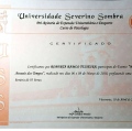 Ampliar imagem: certificate 4