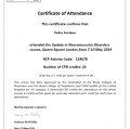 Ampliar imagem: certificate 3
