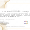 Ampliar imagem: certificate 13