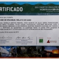 Ampliar imagem: certificate 21