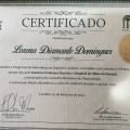Ampliar imagem: certificate 3