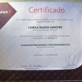 Ampliar imagem: certificate 1