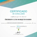 Ampliar imagem: certificate 7