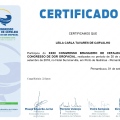 Ampliar imagem: certificate 24
