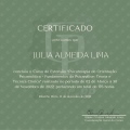 Ampliar imagem: certificate 2