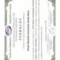 Ampliar imagem: certificate 2