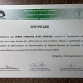 Ampliar imagem: certificate 2