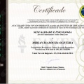 Ampliar imagem: certificate 4