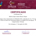 Ampliar imagem: certificate 4