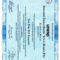 Ampliar imagem: certificate 3