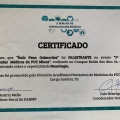 Ampliar imagem: certificate 11