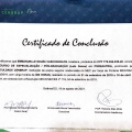 Ampliar imagem: certificate 4