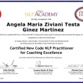Ampliar imagem: certificate 2