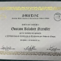Ampliar imagem: certificate 7