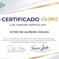 Ampliar imagem: certificate 5