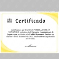 Ampliar imagem: certificate 11