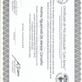 Ampliar imagem: certificate 7