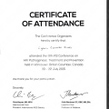 Ampliar imagem: certificate 2