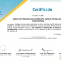 Ampliar imagem: certificate 4