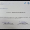 Ampliar imagem: certificate 8